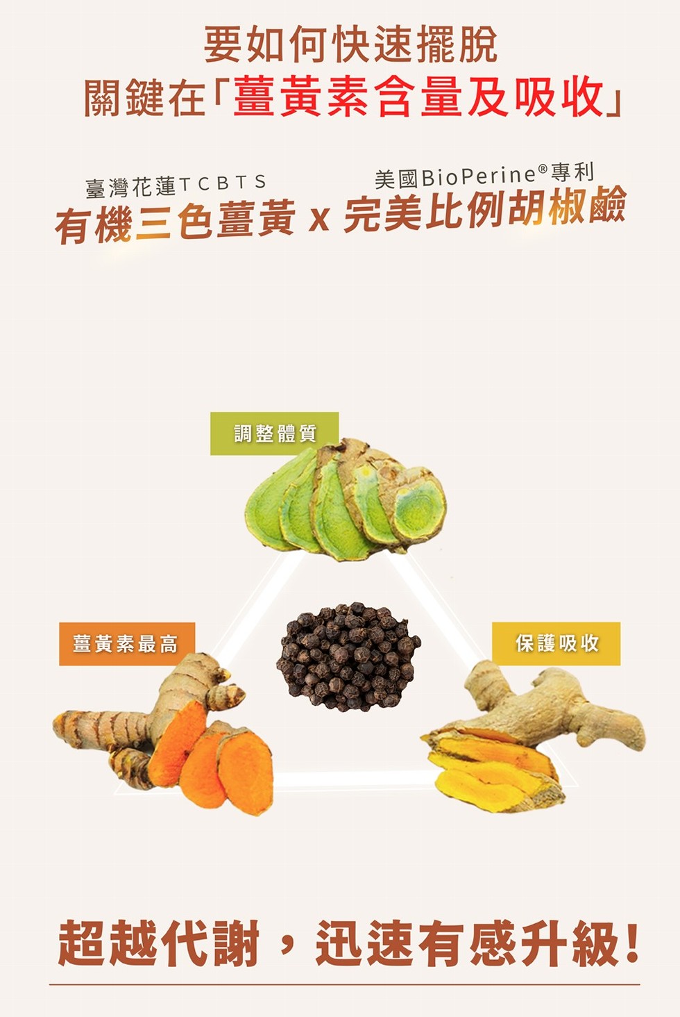 要如何快速擺脫，關鍵在｢薑黃素含量及吸收臺灣花蓮TCBTS，美國BioPerine®專利，有機三色薑黃 x 完美比例胡椒鹼，薑黃素最高，調整體質，保護吸收，超越代謝,迅速有感升級!。