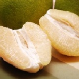 苗栗通霄26年老欉文旦 無農藥檢出，員工每人限定兩箱 特價：$550