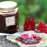 洛神果醬250g 特價：$250