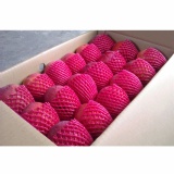 愛文芒果18入 特價：$890