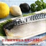 正宗來自挪威鯖魚經薄鹽處理 特價：$80