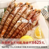 澎湖海捕野生大明蝦 6隻裝