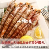 澎湖海捕野生大明蝦 6隻裝 特價：$640