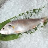 【愛上新鮮】白口魚(2隻/包) 特價：$76