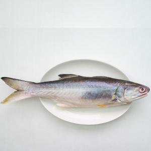 免運!【天和鮮物】10包 台灣鹹水午仔魚 (200g/包)