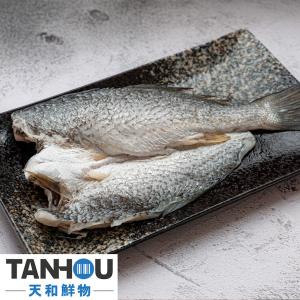 【天和鮮物】澎湖海紅鼓去頭蝴蝶切