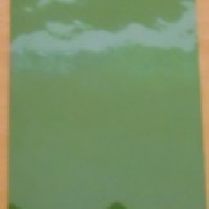 生春行血寧痛膏