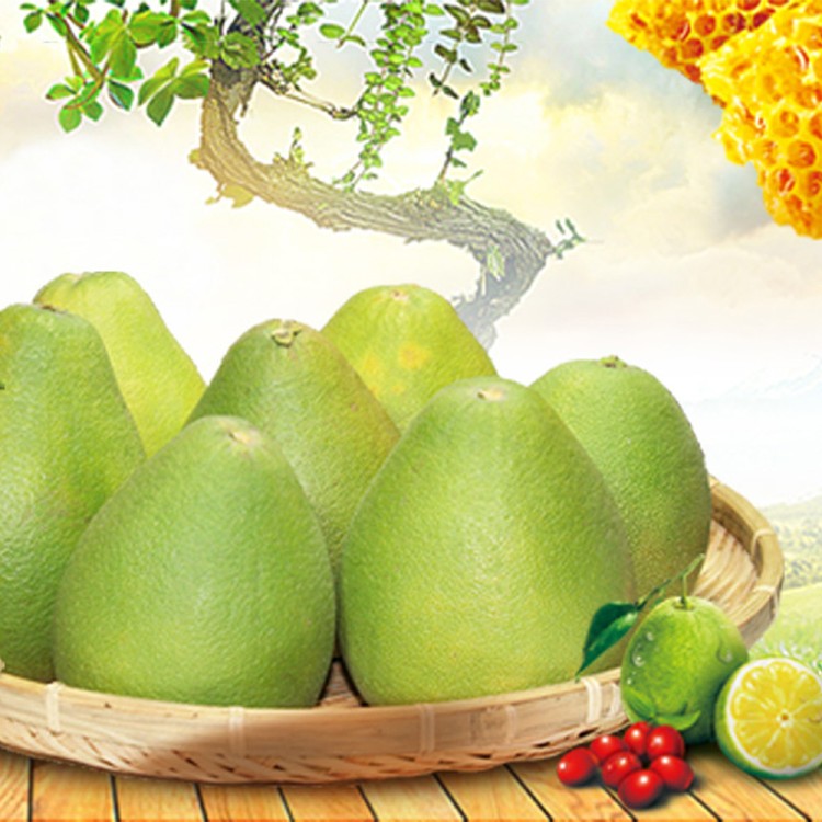 【一等鮮】麻豆文旦禮盒