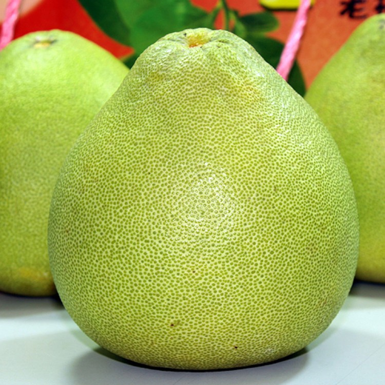 【一等鮮】麻豆文旦禮盒