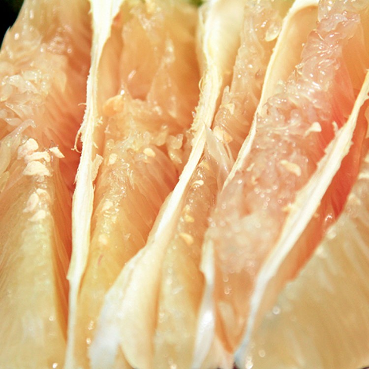 【一等鮮】麻豆文旦禮盒