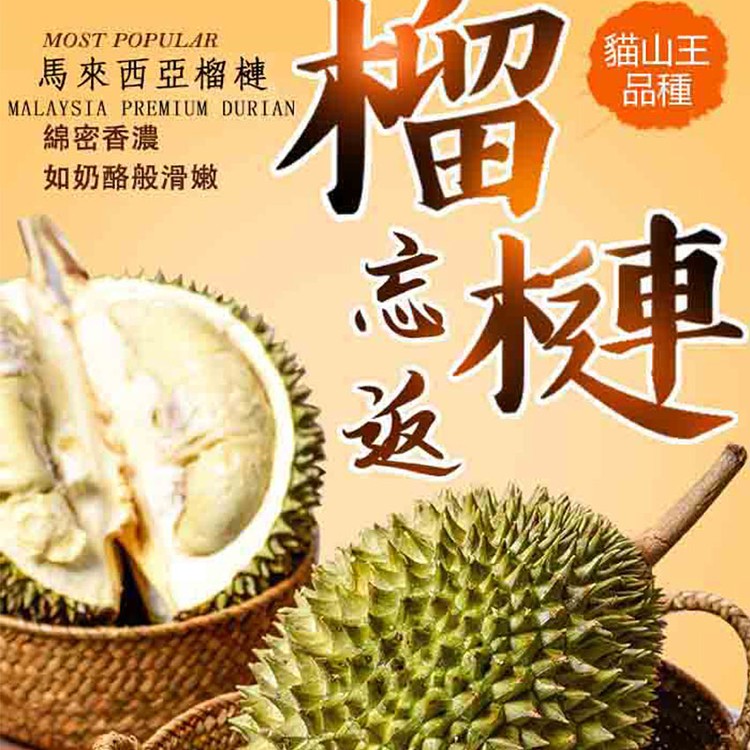 【金荣】D-197貓山王整顆帶殼榴槤禮盒