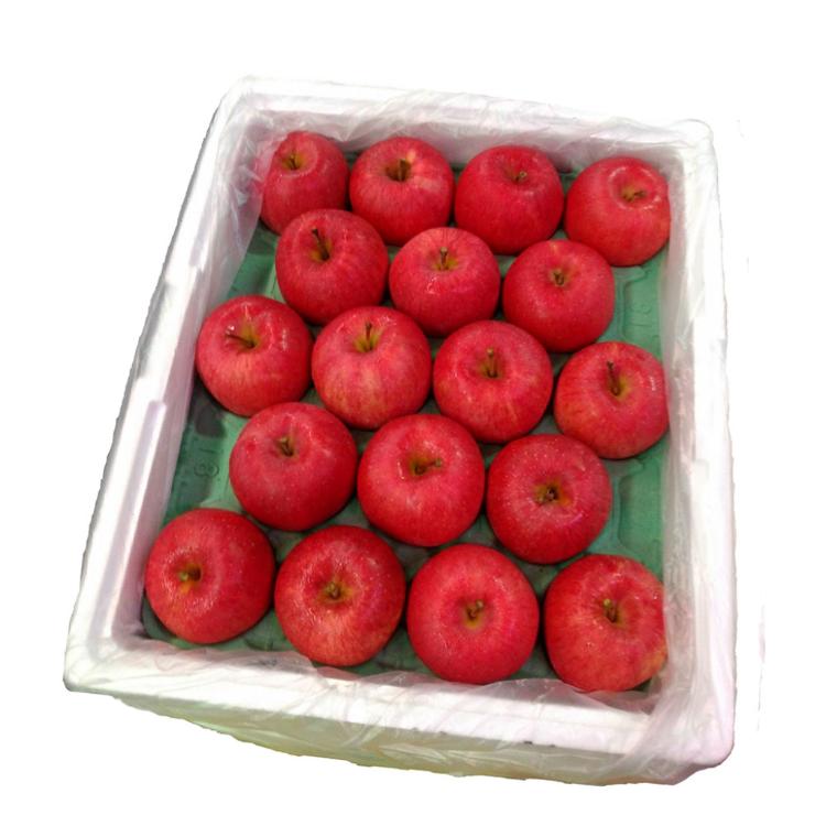 【一等鮮】日本青森蜜蘋果36~40入原裝箱