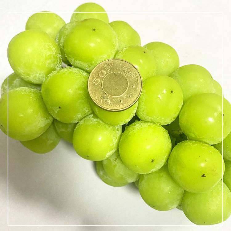 【一等鮮】韓國麝香葡萄禮盒