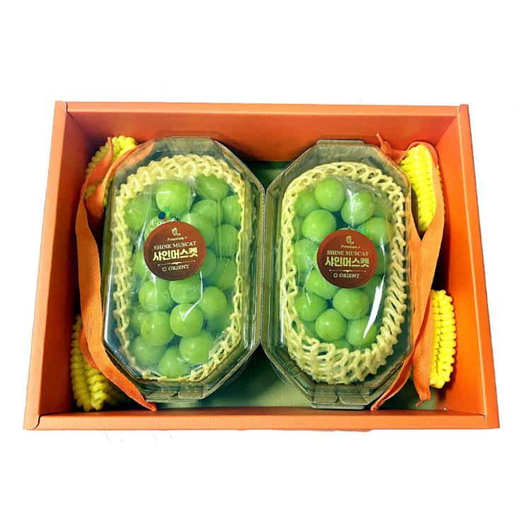 【一等鮮】韓國麝香葡萄禮盒