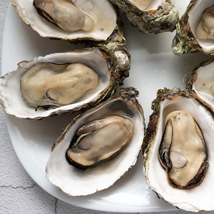 預購【天和鮮物】中秋限定澎湖空運直送鮮採活體帶殼牡蠣