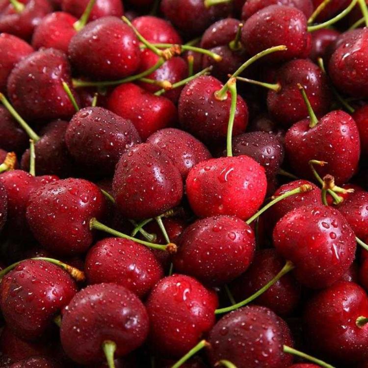 【一等鮮】智利9.5Row櫻桃原裝盒附提袋