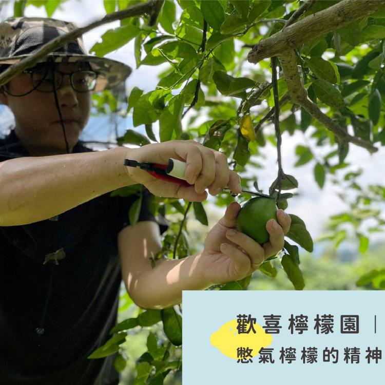 【憋氣檸檬】檸檬汁