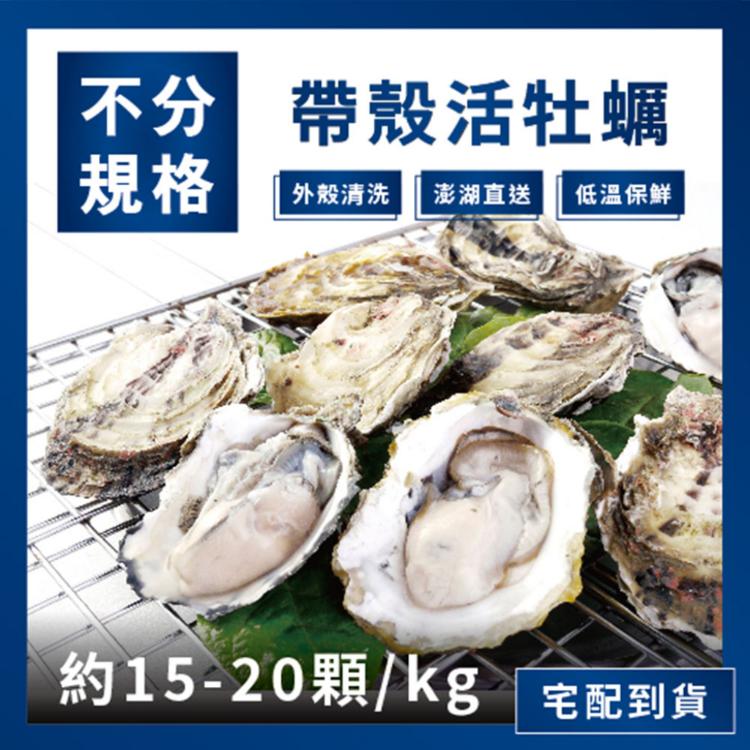 預購【天和鮮物】中秋限定澎湖空運直送鮮採活體帶殼牡蠣5公斤裝