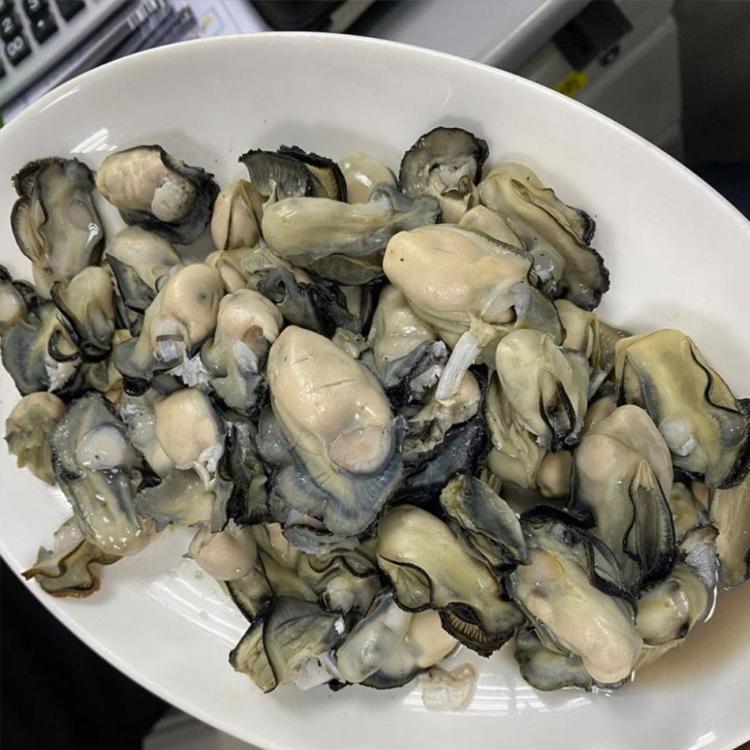 預購【天和鮮物】中秋限定澎湖空運直送鮮採活體帶殼牡蠣5公斤裝