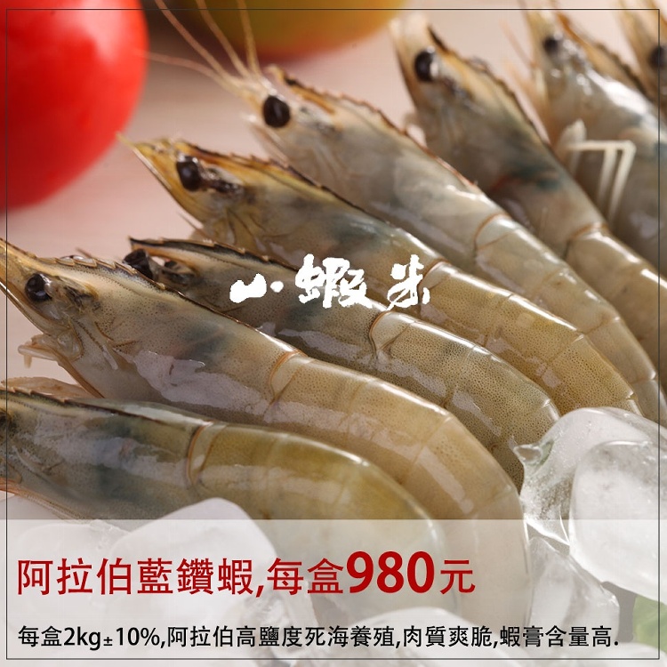 來自阿拉伯高鹽度死海養殖藍鑽蝦。