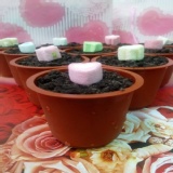 試吃限量60杯~盆栽鮮奶酪1杯~ 特價：$25