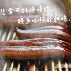 【小熙鰻魚本舖】蒲燒鰻魚(167g/包) 實體肉質重