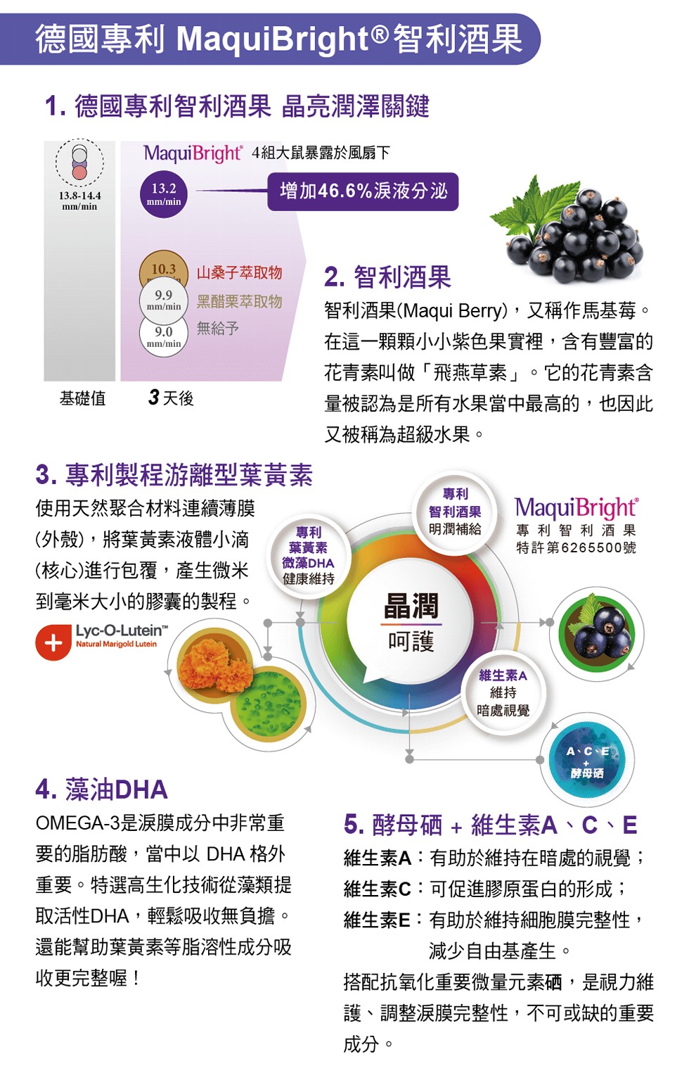 德國專利 MaquiBright@ 智利酒果,1. 德國專利智利酒果 晶亮潤澤關鍵,MaquiBright 4組大鼠暴露於風扇下,增加46.6%淚液分泌,山桑子萃取物,2.智利酒果,智利酒果(Maqui Berry),又稱作馬基莓。在這一顆顆小小紫色