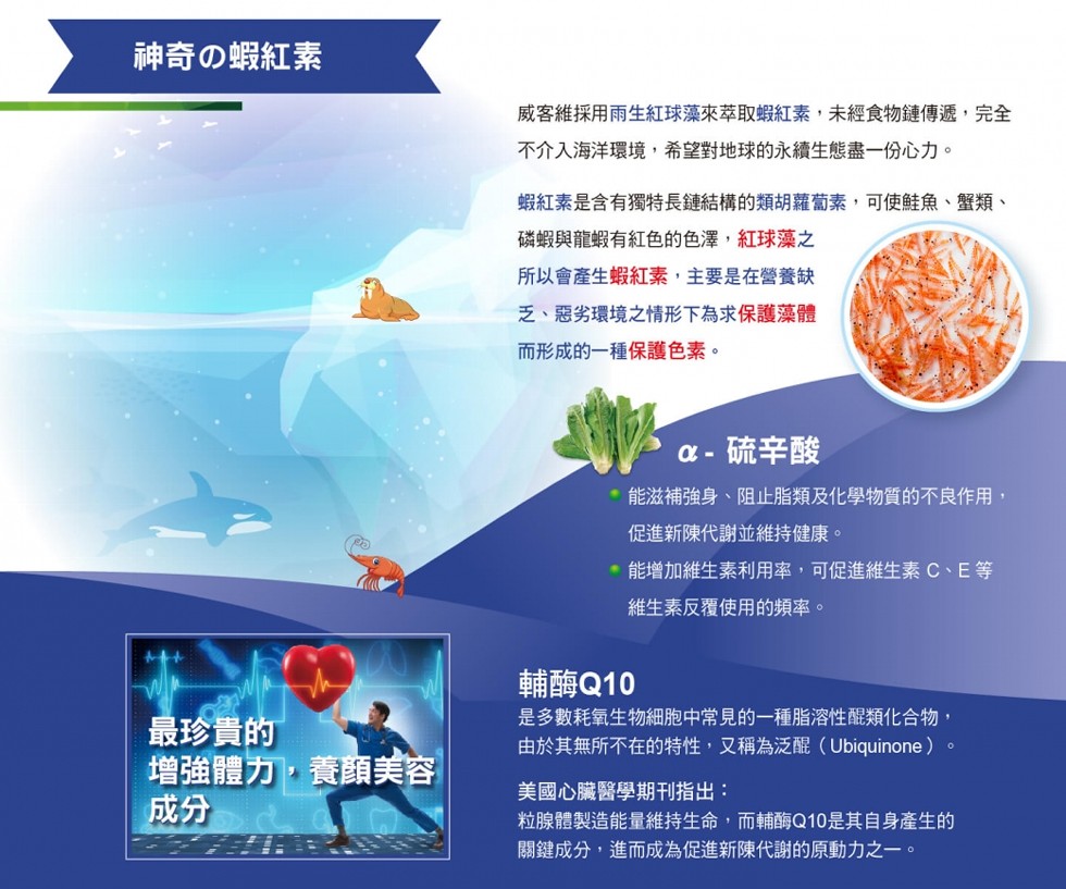 神奇の蝦紅素，威客維採用雨生紅球藻來萃取蝦紅素,未經食物鏈傳遞,完全，不介入海洋環境,希望對地球的永續生態盡一份心力カ。蝦紅素是含有獨特長鏈結構的類胡蘿蔔素,可使鮭魚、、蟹類、磷蝦與龍蝦有紅色的色澤,紅球藻之，所以會產生蝦紅素,主要是在營養缺，乏、惡