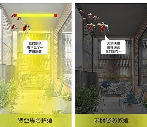 我的眼睛,看不見了~,趕快離開,特亞馬防蚊燈,大家快來,這裡適合,我們生存~,未開啓防蚊燈。