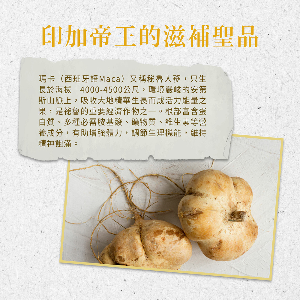 印加帝王的滋補聖品，瑪卡(西班牙語Maca)又稱秘魯人蔘,只生，長於海拔 4000-4500公尺,環境嚴峻的安第，斯山脈上,吸收大地精華生長而成活力能量之，果,是祕魯的重要經濟作物之一。根部富含蛋，白質、多種必需胺基酸、礦物質、維生素等營，養成分,有