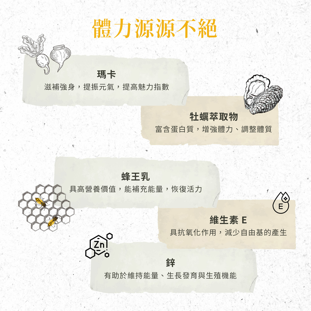 體力源源不絕，滋補強身,提振元氣,提高魅力指數，牡蠣萃取物，富含蛋白質,增強體力、調整體質，蜂王乳，具高營養價值,能補充能量,恢復活力，維生素E，具抗氧化作用,減少自由基的產生，有助於維持能量、生長發育與生殖機能。