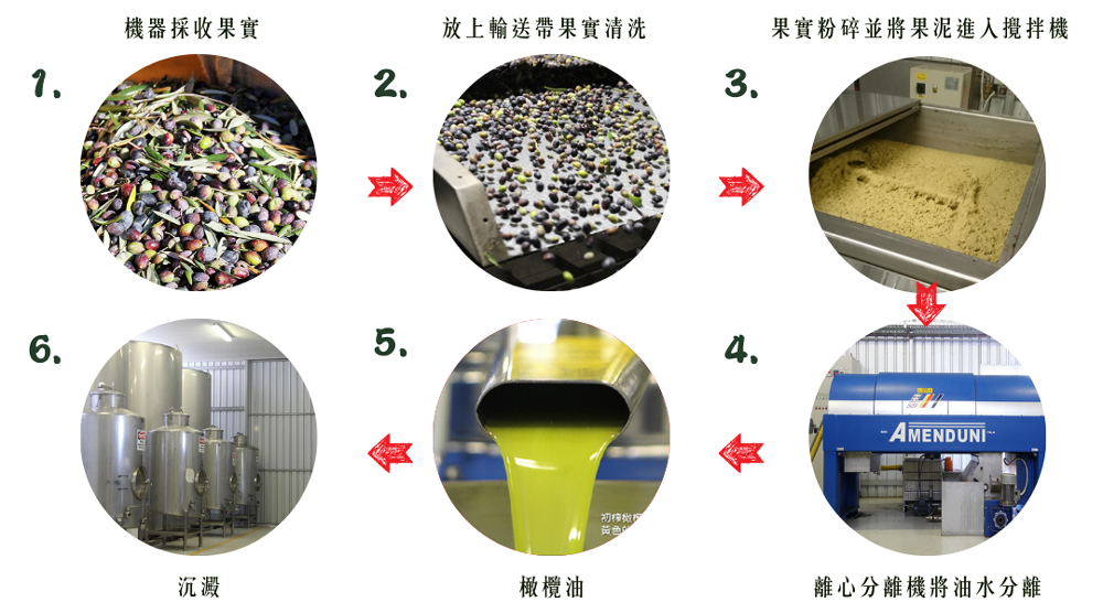 機器採收果實,放上輸送帶果實清洗,果實粉碎並將果泥進入攪拌機,橄欖油,初榨橄模,黄色的,離心分離機將油水分離。