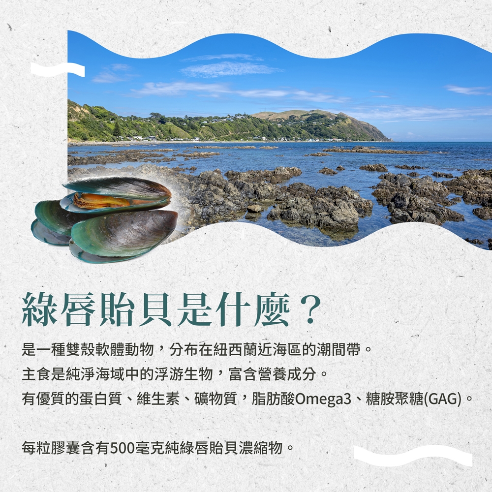 綠唇貽貝是什麼?是一種雙殼軟體動物,分布在紐西蘭近海區的潮間帶。主食是純淨海域中的浮游生物,富含營養成分。有優質的蛋白質、維生素、礦物質,脂肪酸Omega3、糖胺聚糖(GAG)。每粒膠囊含有500毫克純綠唇貽貝濃縮物。