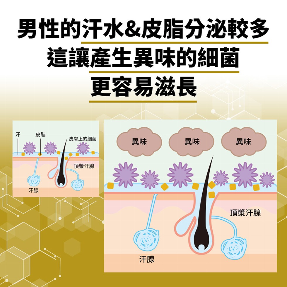 男性的汗水&皮脂分泌較多，這讓產生異味的細菌，更容易滋長，皮膚上的細菌，頂漿汗腺，頂漿汗腺。