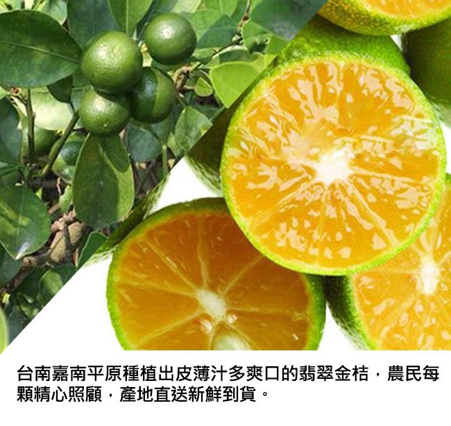 台南嘉南平原種植出皮薄汁多爽口的翡翠金桔,農民每，顆精心照顧,產地直送新鮮到貨。
