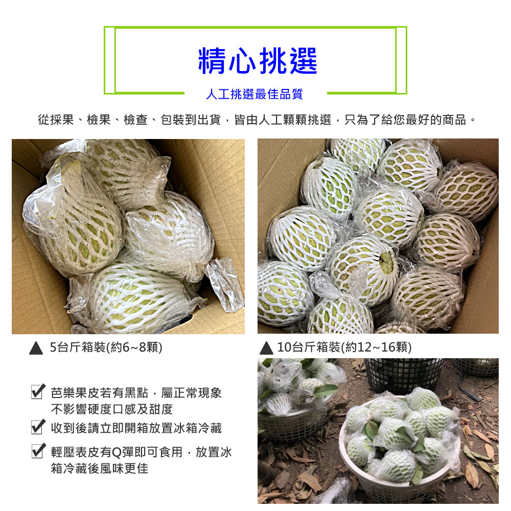 精心挑選，人工挑選最佳品質，從採果、檢果、檢查、包裝到出貨,皆由人工顆顆挑選,只為了給您最好的商品。5台斤箱裝(約6~8顆)，芭樂果皮若有黑點,屬正常現象，不影響硬度口感及甜度，收到後請立即開箱放置冰箱冷藏，輕壓表皮有Q彈即可食用,放置冰，箱冷藏後風