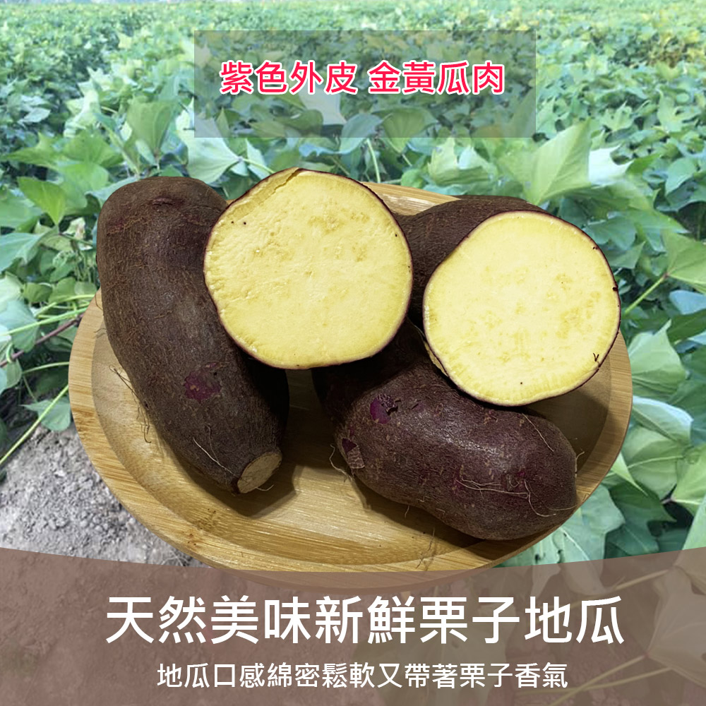 紫色外皮 金黃瓜肉,天然美味新鮮栗子地瓜,地瓜口感綿密鬆軟又帶著栗子香氣。
