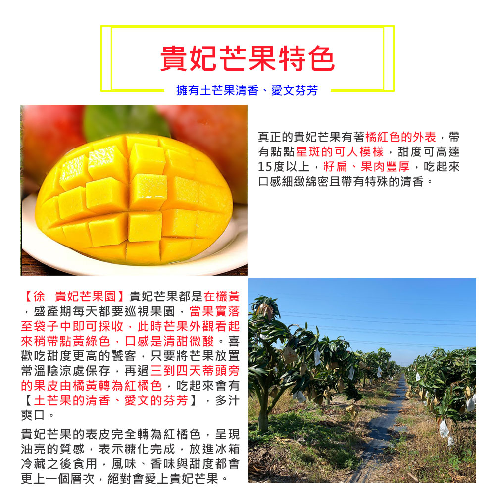 貴妃芒果特色，擁有土芒果清香、愛文芬芳，【徐 貴妃芒果園】貴妃芒果都是在欉黃，盛產期每天都要巡視果園,當果實落，至袋子中即可採收,此時芒果外觀看起，來稍帶點黃綠色,口感是清甜微酸。喜，歡吃甜度更高的饕客,只要將芒果放置，常溫陰涼處保存,再過三到四天蒂