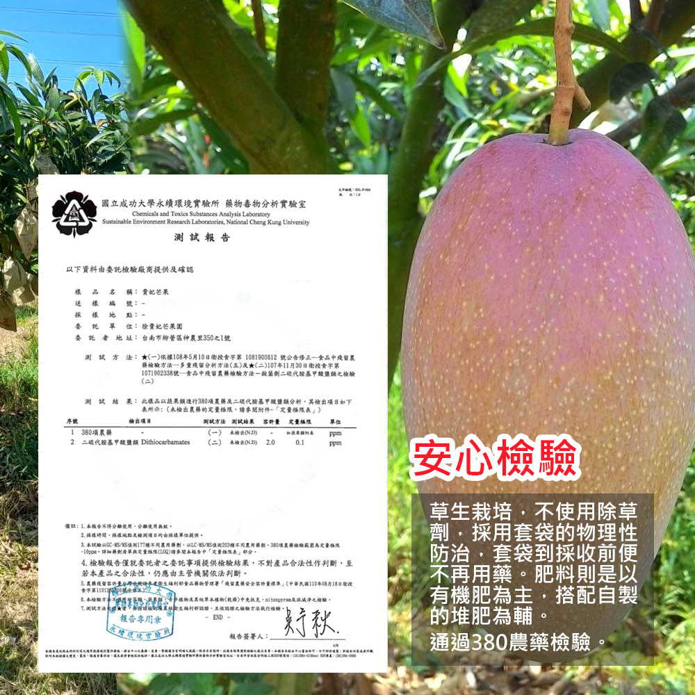 國立成功大學永續環境實驗所 藥物毒物分析實驗室，測試報告，以下資料由委託檢驗廠商提供及確認，稱: 貴妃芒果，送樣編，採樣地，點:一，委託單位: 徐貴妃芒果園，委託者地 址: 台南市柳營區神農里350之1號，測試方法:★(一)依據108年5月10日衛授