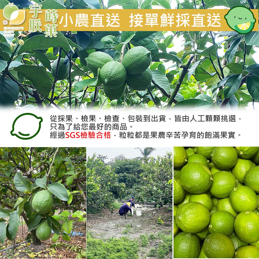 小農直送 接單鮮採直送,從採果、檢果、檢查、包裝到出貨,皆由人工顆顆挑選,只為了給您最好的商品。經過SGS檢驗合格,粒粒都是果農辛苦孕育的飽滿果實。