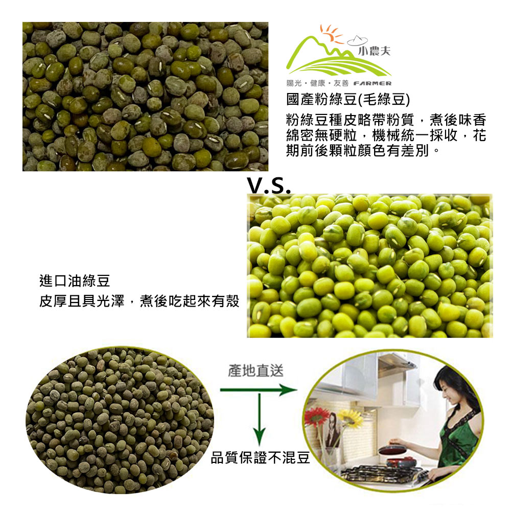進口油綠豆,皮厚且具光澤,煮後吃起來有殼,產地直送,陽光,健康、友善 FARMER,國產粉綠豆(毛綠豆),小農夫,粉綠豆種皮略帶粉質,煮後味香,綿密無硬粒,機械統一採收,花,期前後顆粒顏色有差別。品質保證不混豆。