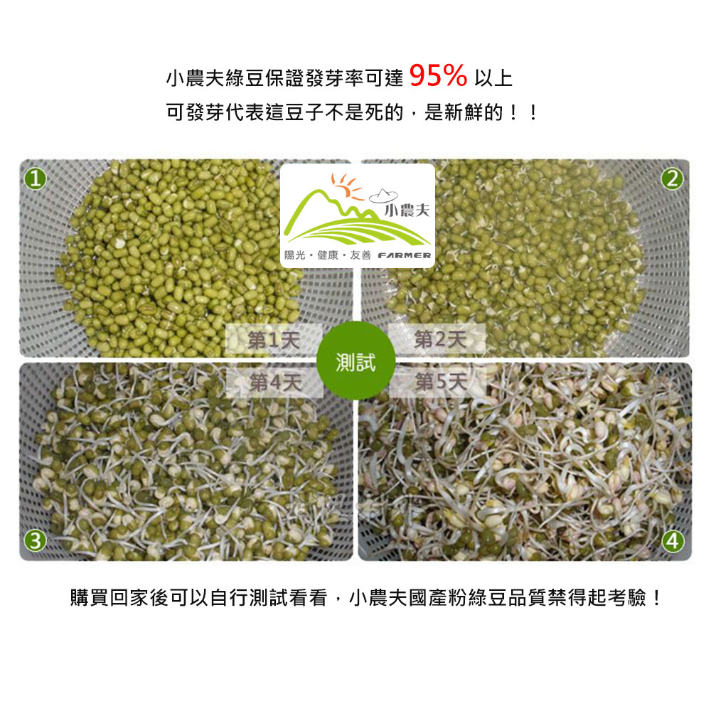 小農夫綠豆保證發芽率可達95% 以上,可發芽代表這豆子不是死的,是新鮮的!!陽光·健康·友善 FARMER,第1天,第4天,小農夫,第2天,第5天,購買回家後可以自行測試看看,小農夫國產粉綠豆品質禁得起考驗!。