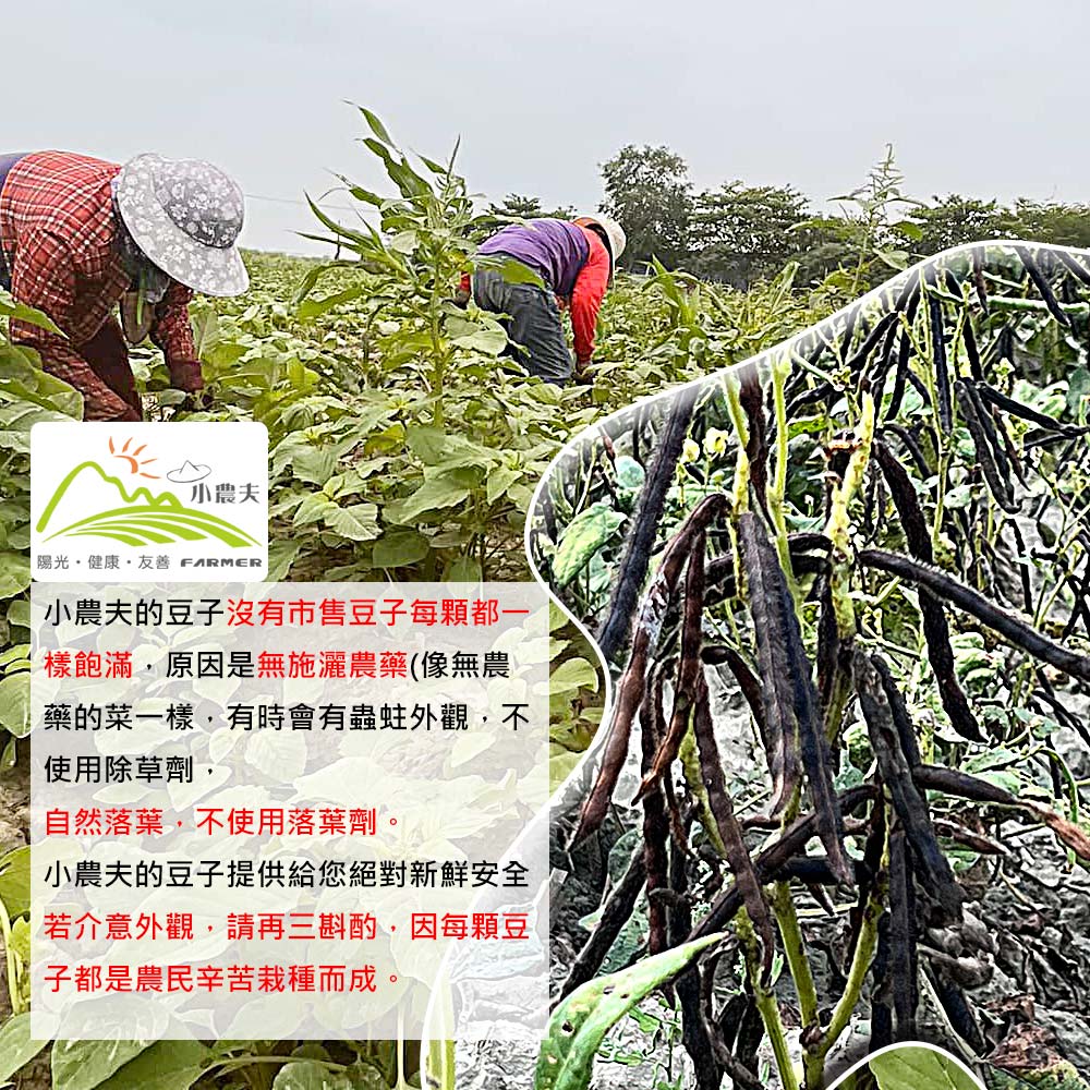 小農夫,陽光,健康,友善 FARMER,小農夫的豆子沒有市售豆子每顆都一,樣飽滿,原因是無施灑農藥(像無農,藥的菜一樣,有時會有蟲蛀外觀,不,使用除草劑,自然落葉,不使用落葉劑。小農夫的豆子提供給您絕對新鮮安全,若介意外觀,請再三斟酌,因每顆豆,子都