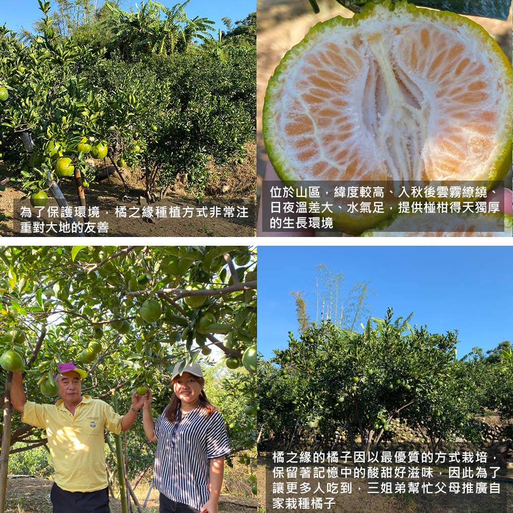 為了保護環境,橘之緣種植方式非常注，重對大地的友善，位於山區,緯度較高、入秋後雲霧繚繞、日夜溫差大、水氣足,提供椪柑得天獨厚，的生長環境，橘之緣的橘子因以最優質的方式栽培,保留著記憶中的酸甜好滋味,因此為了，讓更多人吃到,三姐弟幫忙父母推廣自，家栽種