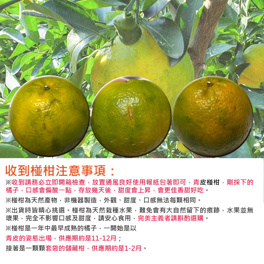 收到椪柑注意事項:※收到請務必立即開箱檢查,放置通風良好使用報紙包著即可,青皮椪柑,剛採下的，橘子,口感會偏酸一點,存放幾天後,甜度會上昇,會更佳香甜好吃。※椪柑為天然產物,非機器製造,外觀、甜度、口感無法每顆相同。※出貨時皆精心挑選。椪柑為天然栽種