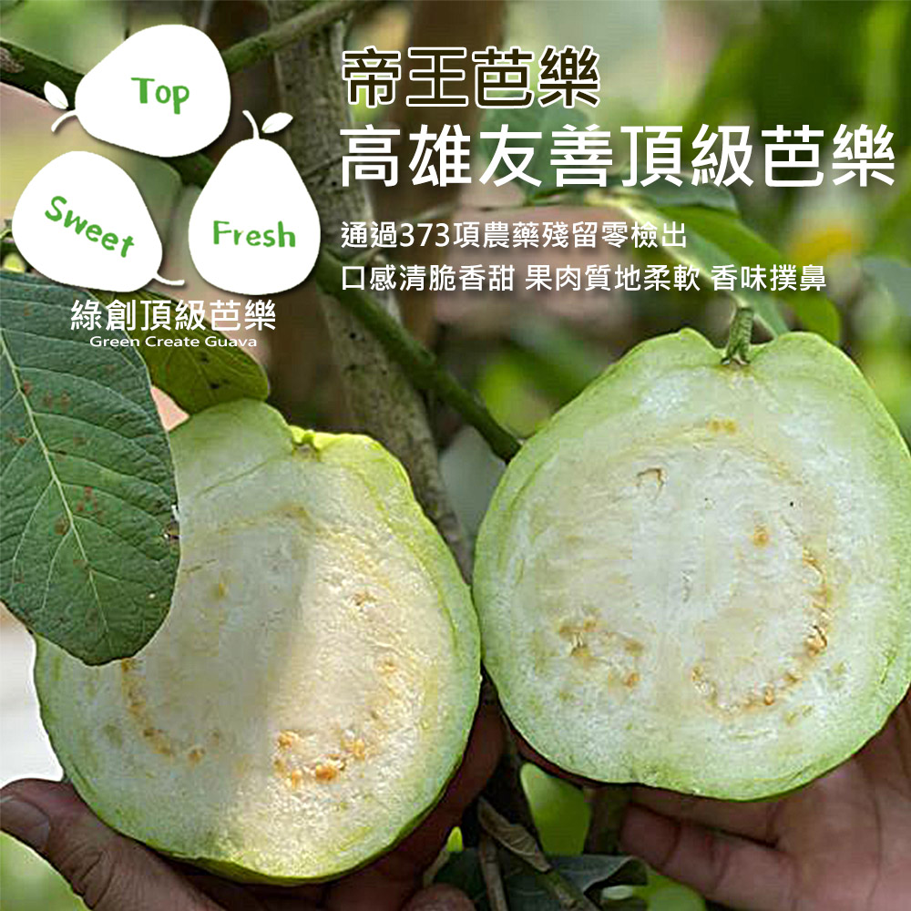 綠創頂級芭樂，帝王芭樂，高雄友善頂級芭樂，通過373項農藥殘留零檢出，口感清脆香甜 果肉質地柔軟 香味撲鼻。
