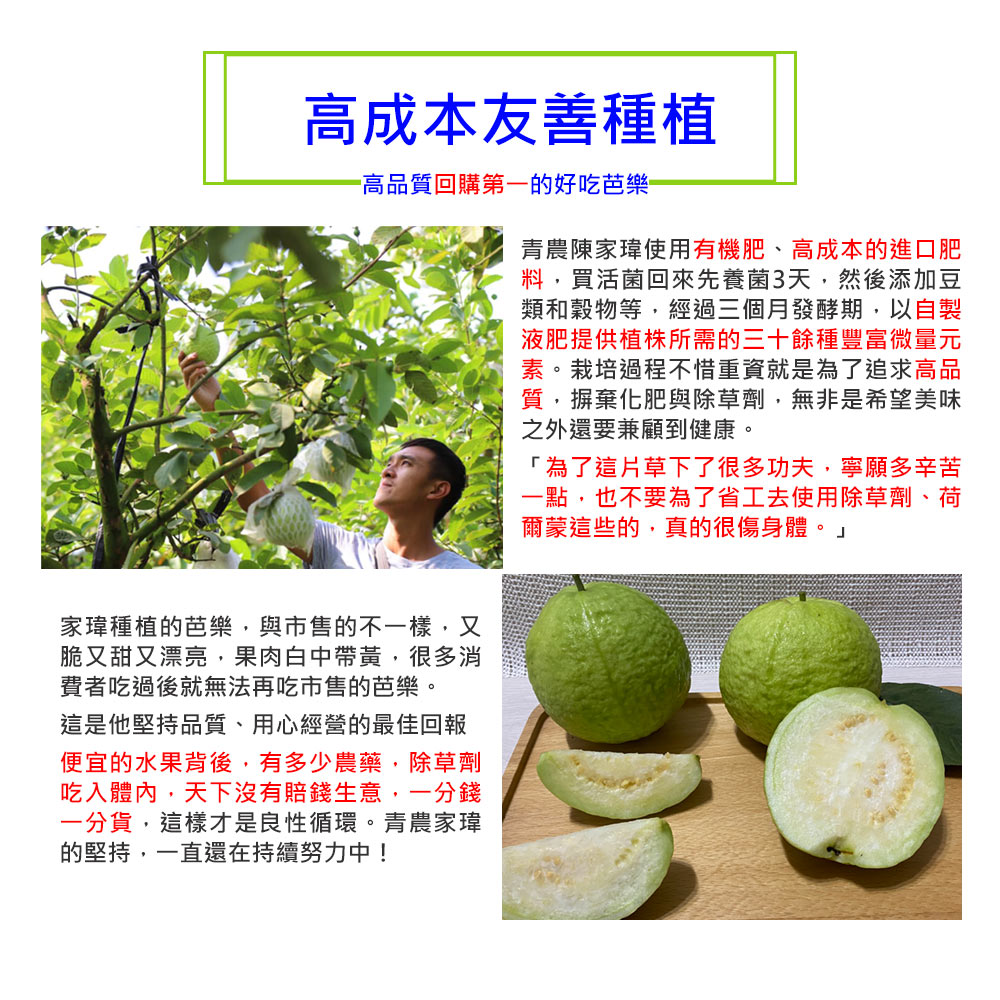 高成本友善種植，高品質回購第一的好吃芭樂，青農陳家瑋使用有機肥、高成本的進口肥，料, ,買活菌回來先養菌3天,然後添加豆，類和穀物等,經過三個月發酵期,以自製，液肥提供植株所需的三十餘種豐富微量元，素。栽培過程不惜重資就是為了追求高品，質,摒棄化肥與