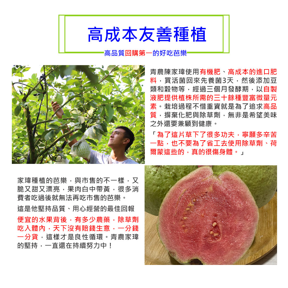 高成本友善種植,高品質回購第一的好吃芭樂,青農陳家瑋使用有機肥、高成本的進口肥,料, ,買活菌回來先養菌3天,然後添加豆,類和穀物等,經過三個月發酵期,以自製,液肥提供植株所需的三十餘種豐富微量元,素。栽培過程不惜重資就是為了追求高品,質,摒棄化肥與