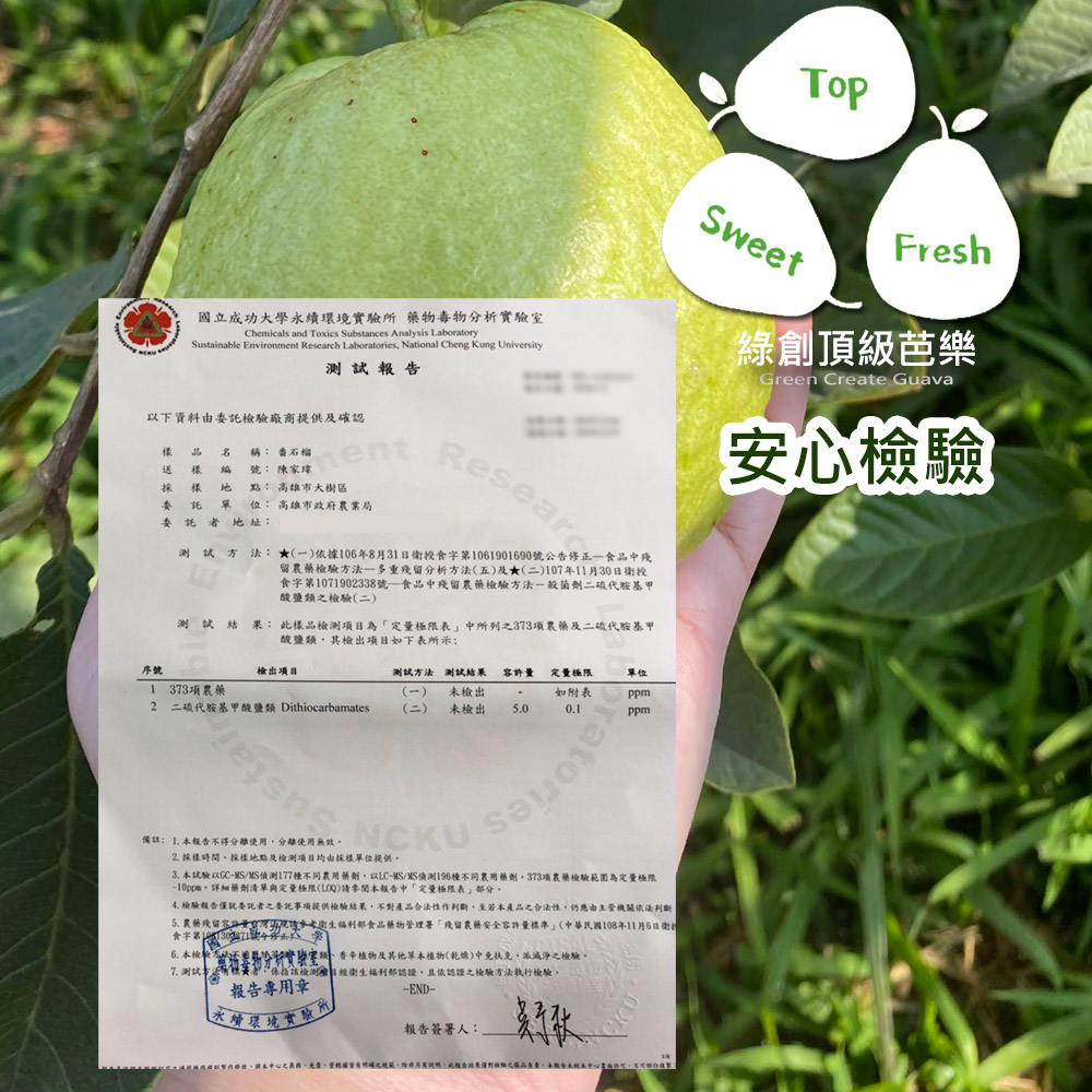 國立成功大學永續環境實驗所 藥物毒物分析實驗室,測試報告,以下資料由委託檢驗廠商提供及確認,號:陳家瑋,樣品名 稱: 番石榴,送樣 编,採 樣 地 點: 高雄市大樹區,委託 單位:高雄市政府農業局,委託者地址:綠創頂級芭樂,安心檢驗,測試方法:★(一