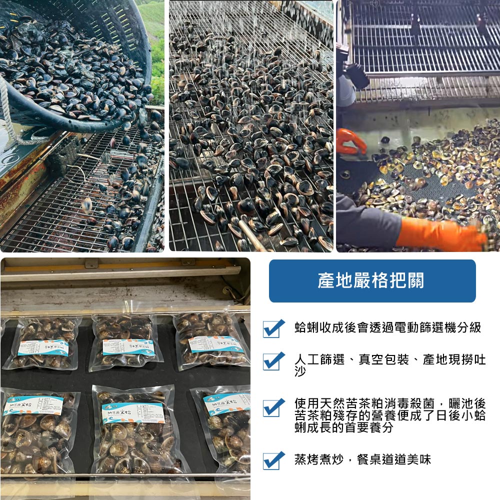 納品文蛤,產地嚴格把關,蛤蜊收成後會透過電動篩選機分級,人工篩選、真空包裝、產地現撈吐,使用天然苦茶粕消毒殺菌,曬池後,苦茶粕殘存的營養便成了日後小蛤,蜊成長的首要養分,蒸烤煮炒,餐桌道道美味。